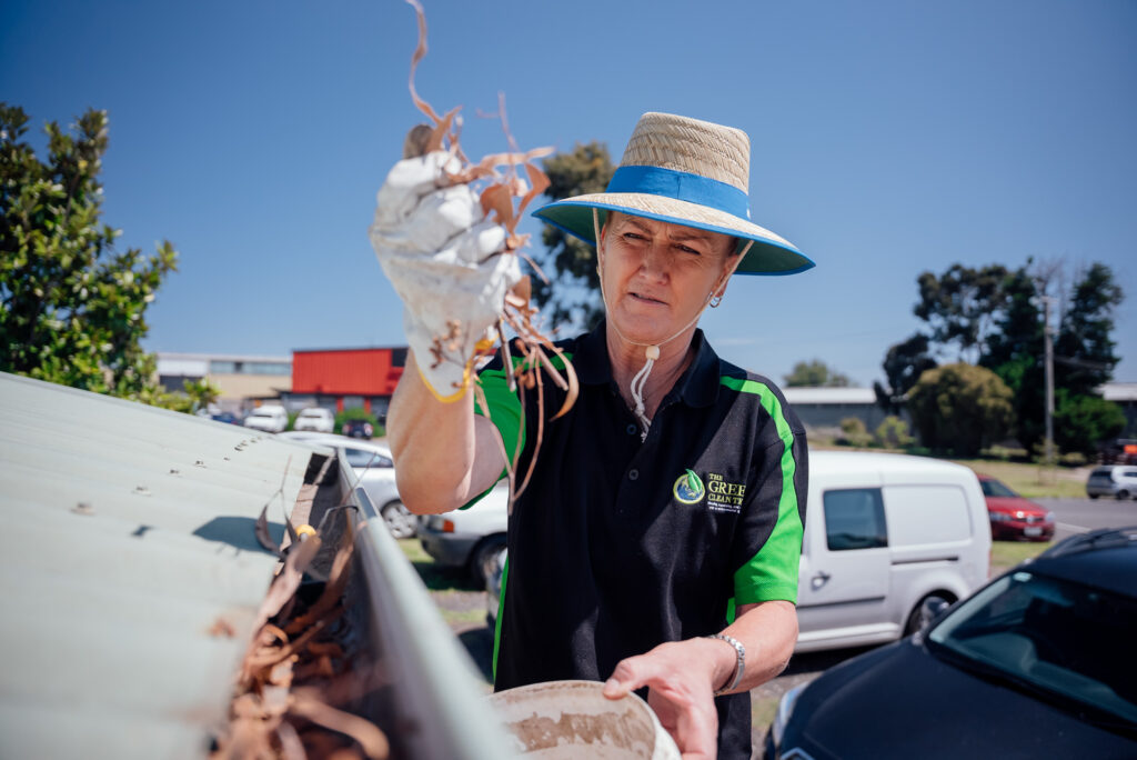 A Green Clean Team staff member cleaning gutters at an eco-friendly gutter cleaning job in Bendigo, Central Victoria. The staff member is holding a handfull of leaves.