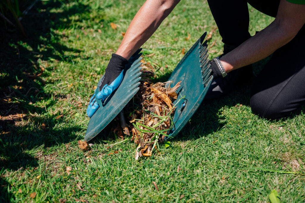 Close-up of garden clean-up with rake scoops gathering debris on grass. The Green Clean Team providing eco-friendly gardening services across Bendigo, Castlemaine, Echuca, and Central Victoria.